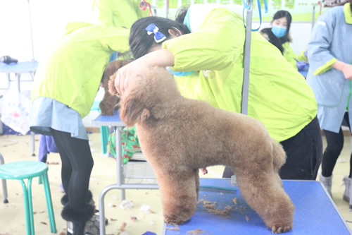 ʥ��33��ѧԱ�ۺ�ʵ����ϰ