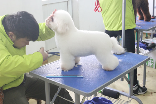 ʥ��33��ѧԱ�ۺ�ʵ����ϰ