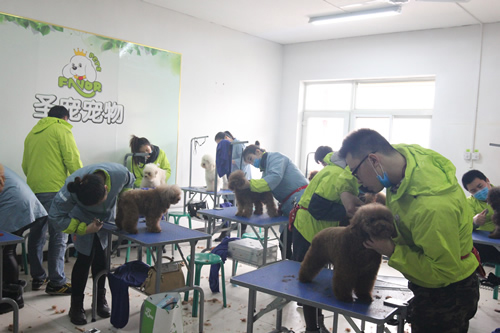 ʥ��33��ѧԱ�ۺ�ʵ����ϰ