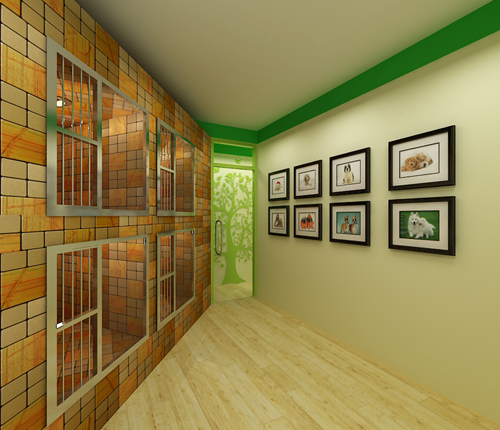 圣宠宠物上海浦东金桥连锁店