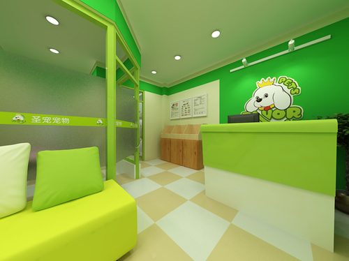 圣宠宠物上海七宝万科连锁店