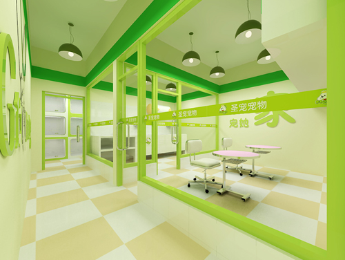 圣宠宠物河南商丘连锁店