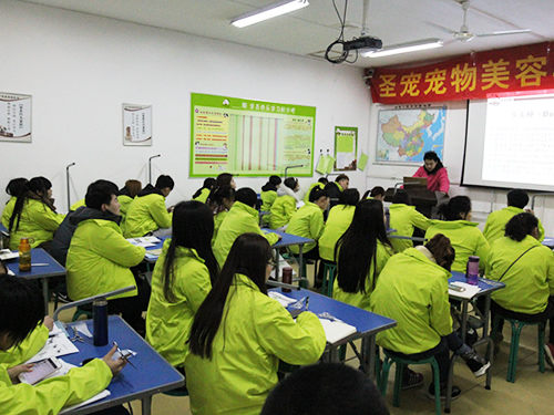 ʥ��34�ڳ������ݰೣ��Ȯ�ֵĽ��ܿγ̣���Ϊһ��������ҵ�Ĵ�ҵ�ߣ����ȱ���Ҫ�Գ�����Ȯ�־���һ�����˽⡣����������ǳ�����Ȯ����Ҫ�У���������ܣ�̩�ϣ�ѩ�������ߵأ��޹󣬽�ë����Ħ�������ȣ�����������ݵ�ʦ��ΰ�Գ���Ȯ�ֽ��н��⡣