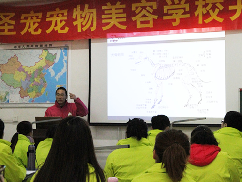 ʥ��34�ڳ������ݰ�Ȯֻ�����ṹ����γ�