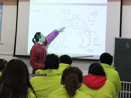 ʥ��34�ڳ������ݰ�Ȯֻ�����ṹ����γ�