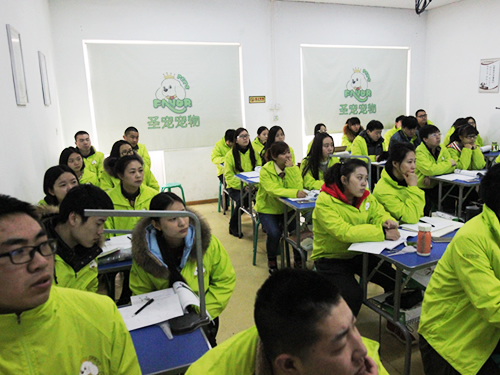 ʥ��34�ڳ������ݰ�Ȯֻ�����ṹ����γ�