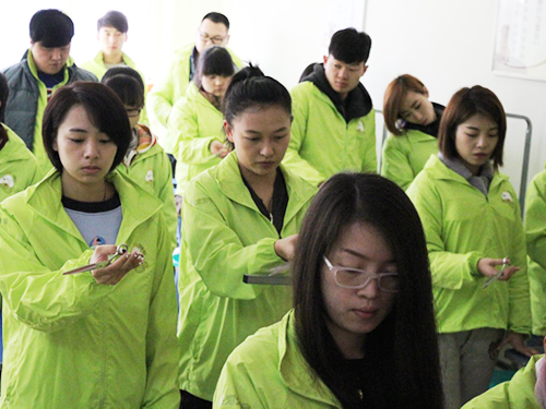 圣宠34期宠物美容班剪刀正确使用课