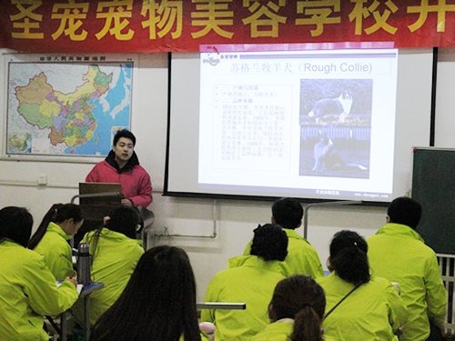 ʥ��34�ڳ������ݰೣ��Ȯ�ֵĽ��ܿγ̣���Ϊһ��������ҵ�Ĵ�ҵ�ߣ����ȱ���Ҫ�Գ�����Ȯ�־���һ�����˽⡣����������ǳ�����Ȯ����Ҫ�У���������ܣ�̩�ϣ�ѩ�������ߵأ��޹󣬽�ë����Ħ�������ȣ�����������ݵ�ʦ��ΰ�Գ���Ȯ�ֽ��н��⡣