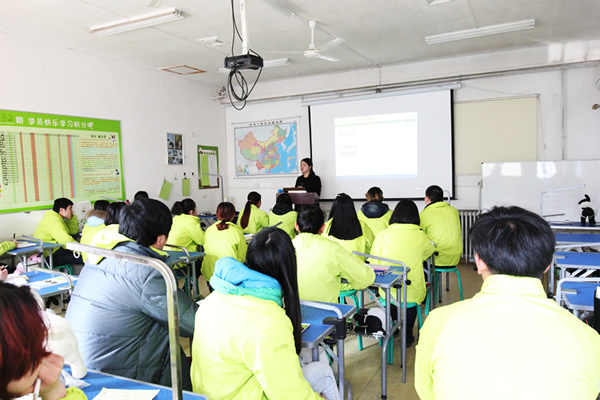 圣宠34期班犬只洗澡理论示范课