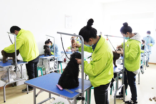 ʥ�����34�ڰ�ϴ����ë��ָ��ʵ��