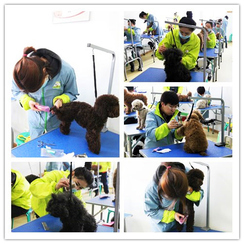 ʥ�����34�ڰ�ϴ����ë��ָ��ʵ��