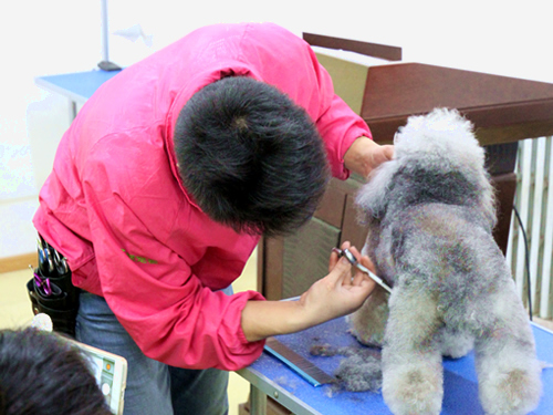 ʥ��34�����ݰ����ʦ�������˶�װ���ۼ�ʾ��