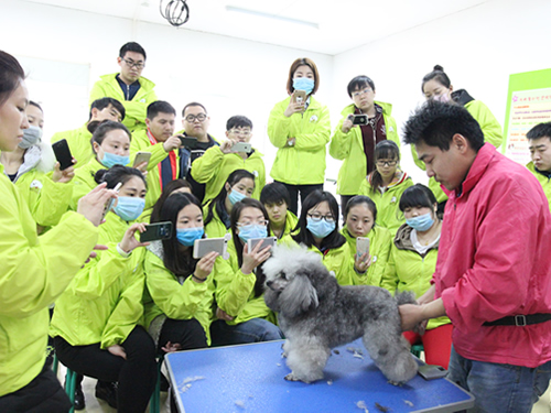 ʥ��34�����ݰ����ʦ�������˶�װ���ۼ�ʾ��