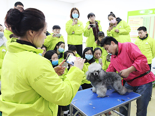 ʥ��34�����ݰ����ʦ�������˶�װ���ۼ�ʾ��