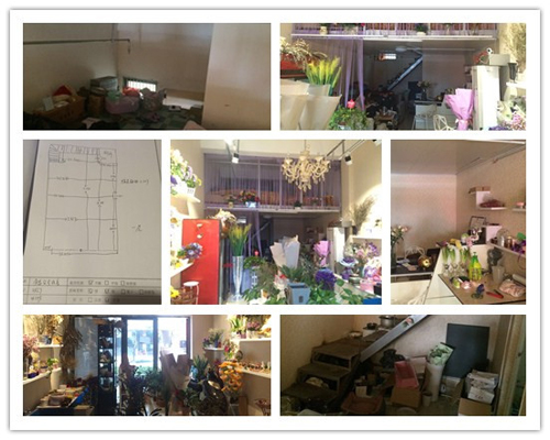 圣宠宠物南昌红谷滩连锁店选址服务