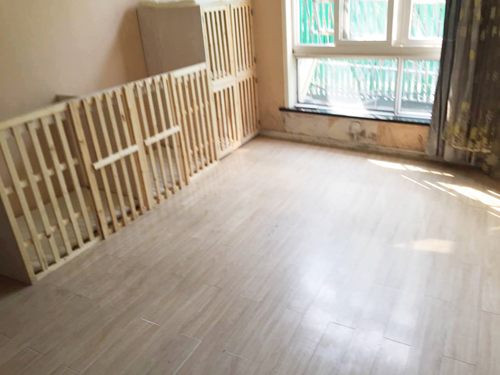 圣宠宠物绍兴阳光绿园店