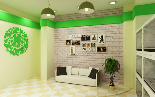 圣宠宠物北京后沙峪连锁店