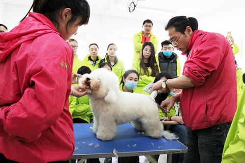 34�ڳ������ݰ����Ȯ���ۼ�ʾ��