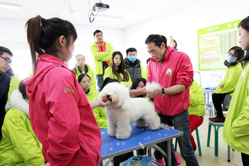 34�ڳ������ݰ����Ȯ���ۼ�ʾ��