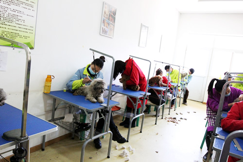 34�����ݰ��ۺ��Ҳٿ�������ʦ��˼˼