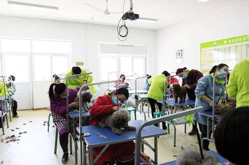 34�����ݰ��ۺ��Ҳٿ�������ʦ��˼˼