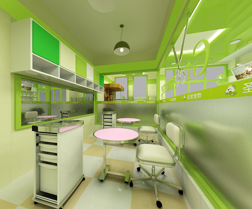 圣宠宠物天津红桥店