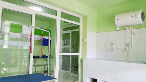 圣宠宠物北城枫景店