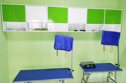 圣宠宠物保定北城枫景店