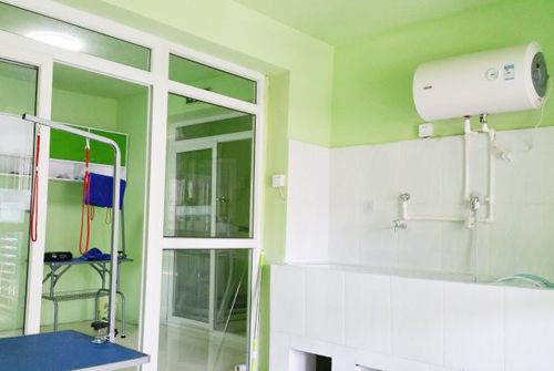 圣宠宠物保定北城枫景店