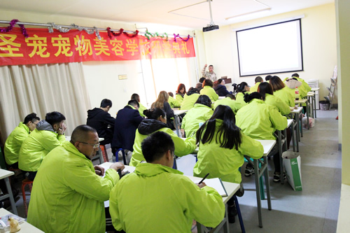 ݰ352ȮֻΪѧΣڿεʦο