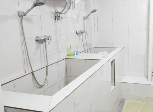 圣宠宠物重庆江上明珠店