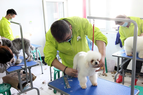 圣宠36期美容班综合实操课