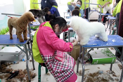 圣宠36期美容班综合实操课