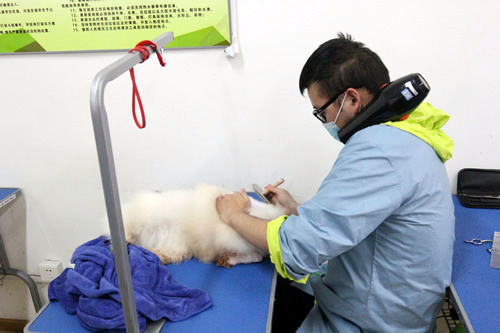 圣宠36期美容班综合实操课