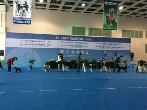 第二届廊坊宠物用品展圆满结束