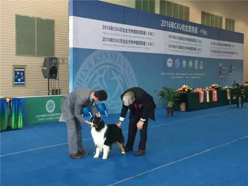 第二届廊坊宠物用品展圆满结束