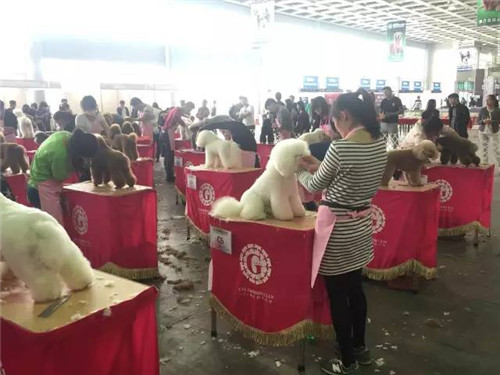 第二届廊坊宠物用品展圆满结束