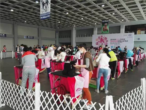 第二届廊坊宠物用品展圆满结束