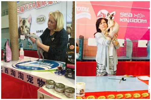 第二届廊坊宠物用品展圆满结束