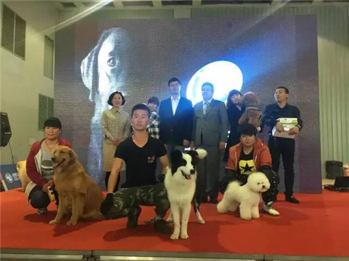 第二届廊坊宠物用品展圆满结束