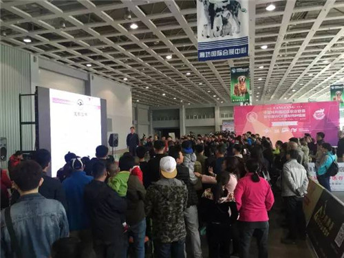 第二届廊坊宠物用品展圆满结束