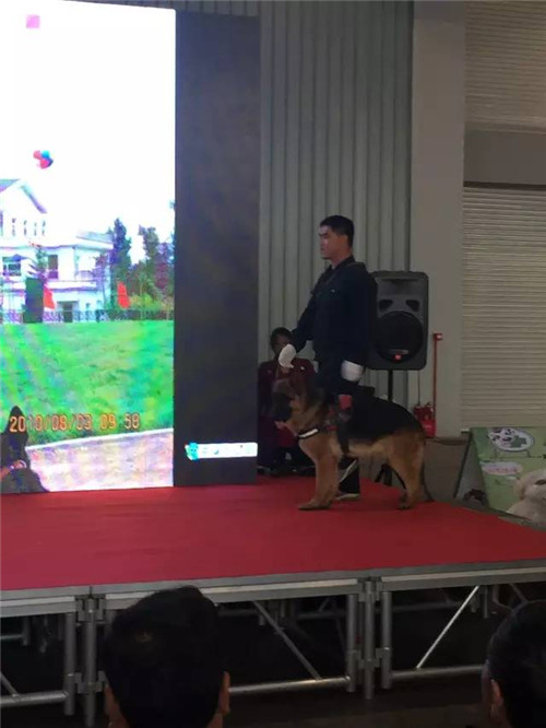 第二届廊坊宠物用品展圆满结束