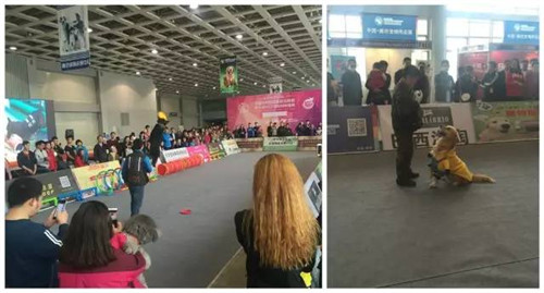 第二届廊坊宠物用品展圆满结束