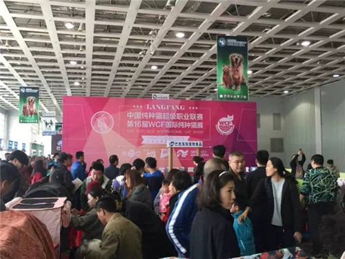 第二届廊坊宠物用品展圆满结束