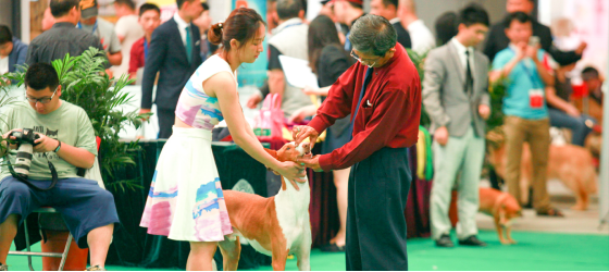 ޳ˮ岩Ὺչμչ᲻ò֪¶