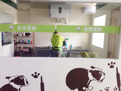 圣宠宠物店(盐城人民路欢乐广场店)开业优惠