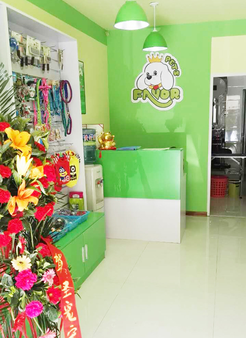 圣宠宠物店(银川塞上骄子店)