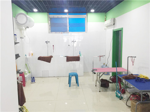 圣宠宠物郑州全威花园店