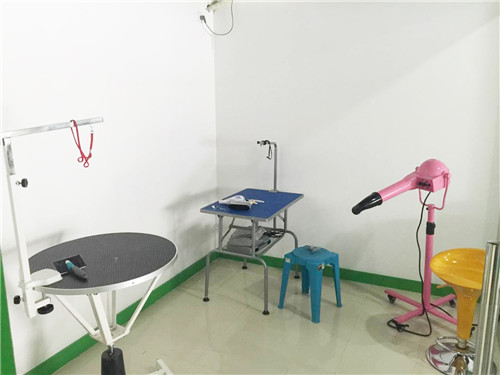 圣宠宠物郑州全威花园店