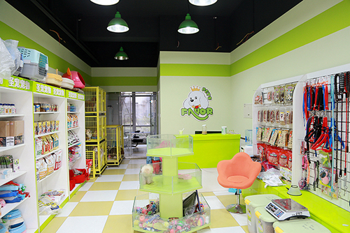 圣宠宠物通州土桥自由筑店